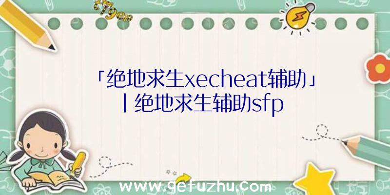 「绝地求生xecheat辅助」|绝地求生辅助sfp